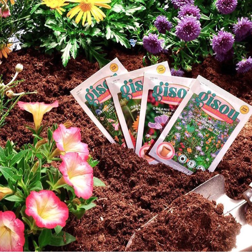 GISOU WILDFLOWER SEEDS 2021 NEW Gardening